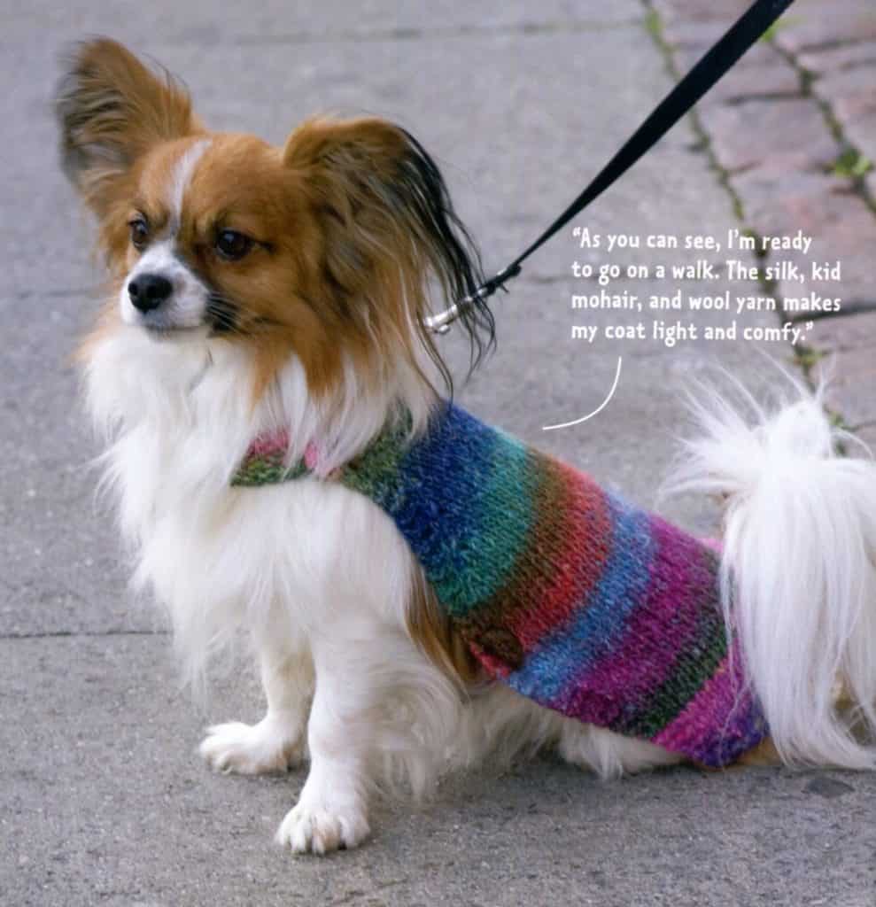 Dress Your Dog — Frugal Knitting Haus