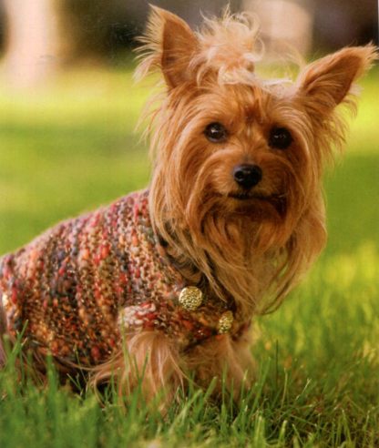 Knits for People and Pooches  - Image 3