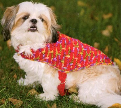 Knits for People and Pooches  - Image 5