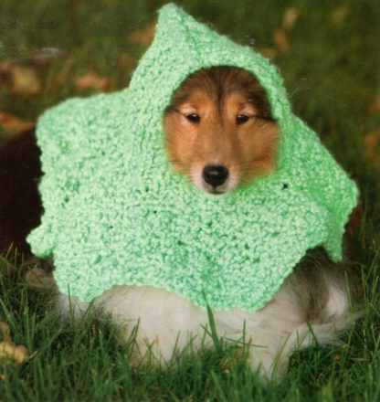 Knits for People and Pooches  - Image 7