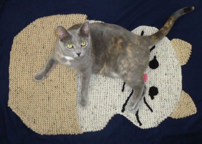 "Hide and Sleep" Blanket for Pets - Image 3