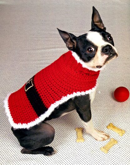 Dashing Doggie Duds  - Image 6