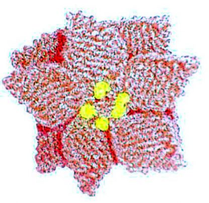 Holiday Ornaments & More - eBook  - Image 24