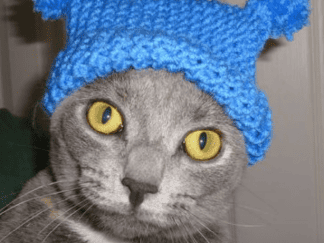Lucy's Favorite Hat Pattern