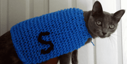 Lucy's Favorite Cape Pattern