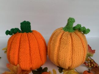 Mystery Pumpkin Covers